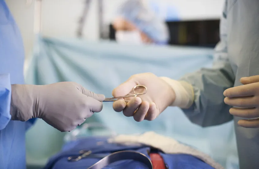 Medical Breakthrough: "Immune Priming" Technology Ends Dependency on Liver Transplant Drugs