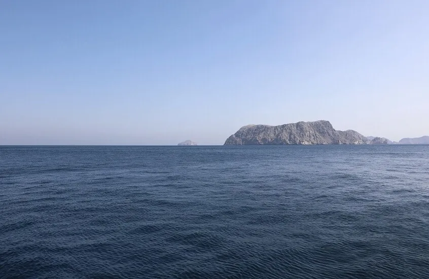 Indian Foreign Ministry Announces 10 Ships Safely Crossed Hormuz, Confirming Coordination with Tehran