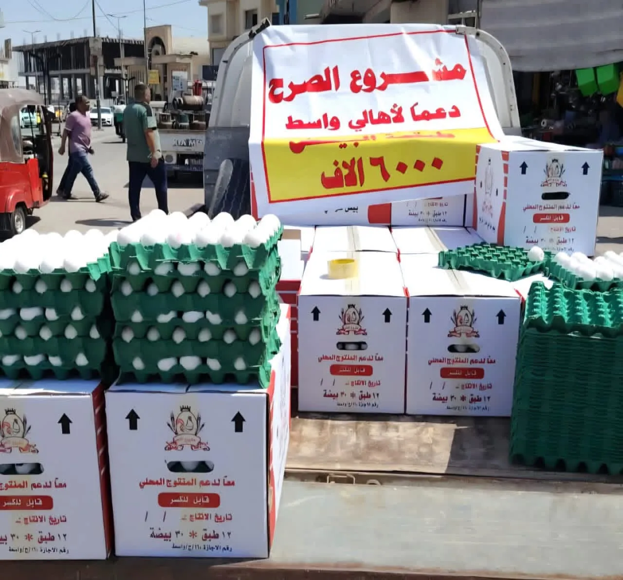Agriculture Ministry Denies Egg Crisis, Confirms Local Abundance