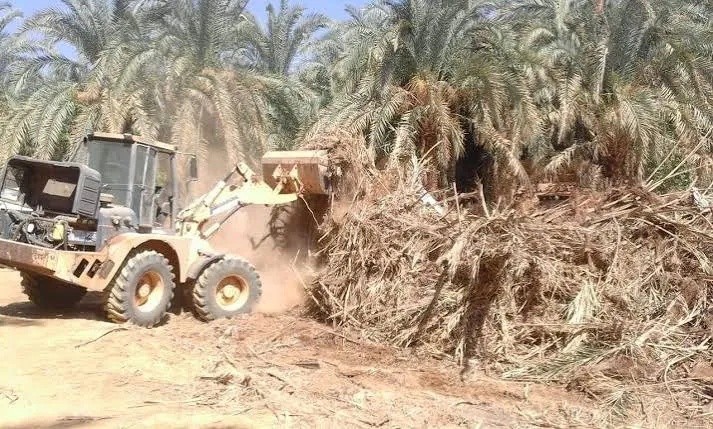 تفكيك شبكة تزوير سندات وأراضي زراعية في بغداد: 10 متهمين