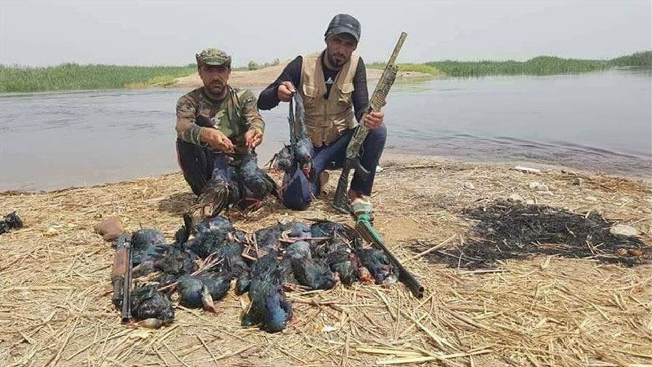 جهود تنظيم الصيد بالعراق